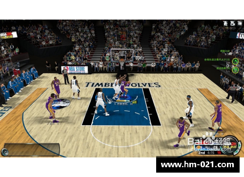NBA球场之梦：挑战极限，追逐无限可能