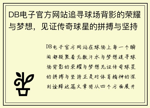 DB电子官方网站追寻球场背影的荣耀与梦想，见证传奇球星的拼搏与坚持