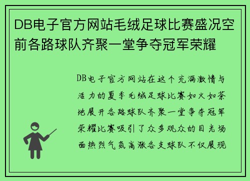 DB电子官方网站毛绒足球比赛盛况空前各路球队齐聚一堂争夺冠军荣耀