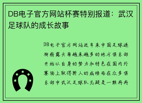 DB电子官方网站杯赛特别报道：武汉足球队的成长故事